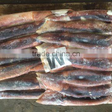 M Frozen Squid 200-300G Frozen Illex Squid photo-2