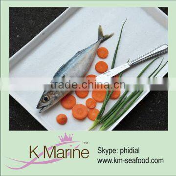 Frozen horse mackerel whole round