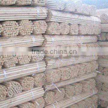 Natural wooden handle for brush
