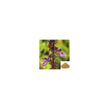 Coleus forskolin extracts