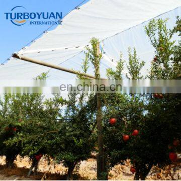 100% virgin plastic tent cover transparent tarpaulin anti rain for fruit tree