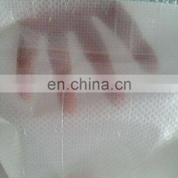 160gsm Transparent Poly Tarp with UV For Agriculture Cover