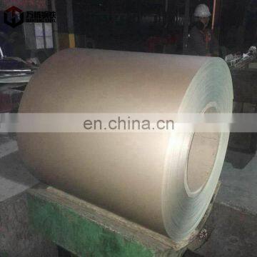 Coating Zinc30-200g  PPGI and GI Coils from Shandong Wanteng