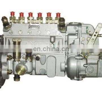 6R1ZLD310100-A/10402376054/10 402 376 054 Diesel Fuel Injection Pump for WeiChaiHuaFeng R6105ZLD Engine