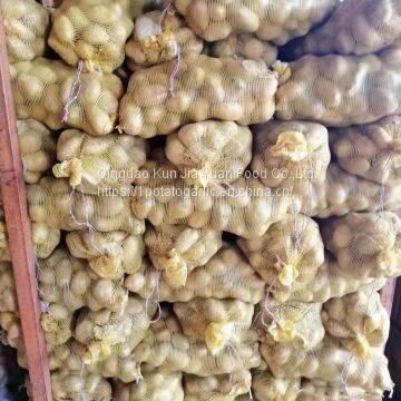 Fresh Potato photo-4