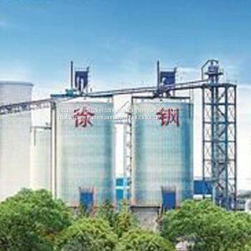 Jiangsu Xu Gang Group New 2# 3# Space Frame Structure Environmental Protection Shed Project photo-5