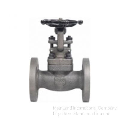 Mstnland ANSI FORGED STEEL FLANGE GATE VALVE