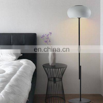 HUAYI High Quality Living Room Indoor Decoration Iron Aluminum LED Classic Globe Floor Lamp