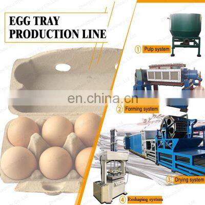 Good Quality Automatic Pulp Paper Egg Pulp Tray Machine Egg Trays Molding Machine photo-5