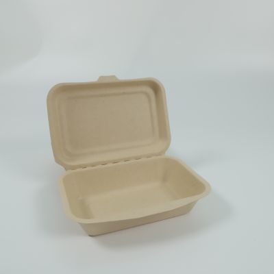 Disposable lunch box Salad box Burger box