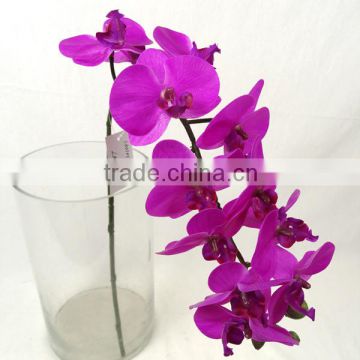 GIGA tianjin orchid flower artificial flower real touch                        
                                                Quality Choice