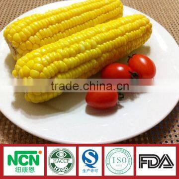 Frozen Style Waxy Corn Original from China