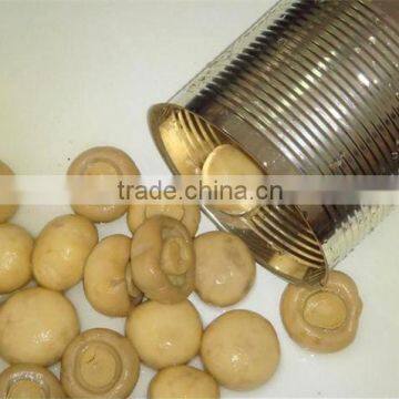 canned botton mushroom with best quality from China