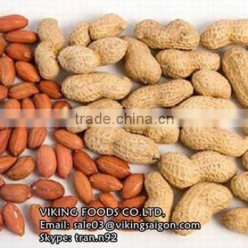 RAW PEANUTS KERNEL_HIGH QUALITY