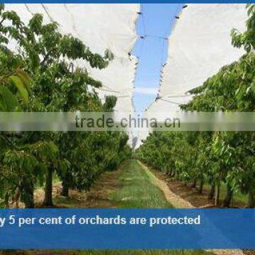 140gsm 200 micro clear fruit cherry orchard in the summer rainy cover with huge size