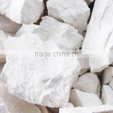 Best price Lime Lump/Powder in Vietnam