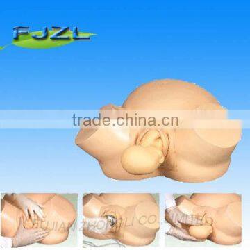 infant training Vacuum Delivery Model