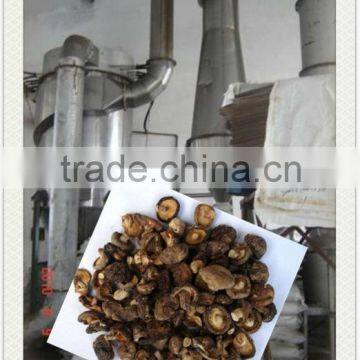 Mushroom Drying Equipment