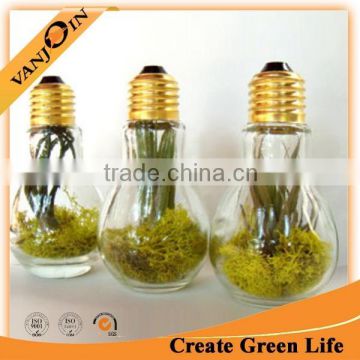 Clear Bulb Shaped 200ml Decoration Glass Bottle Household