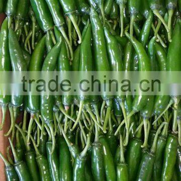 FRESH GREEN CHILI