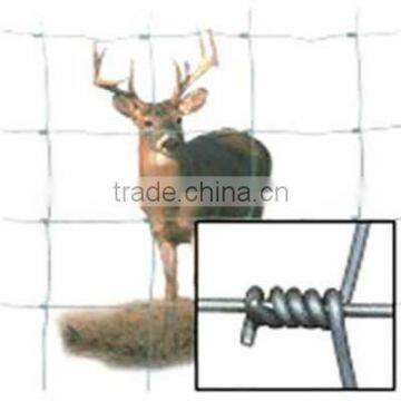 grassland wire mesh/ field fence