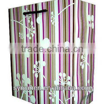 Art Paper Gift Bag