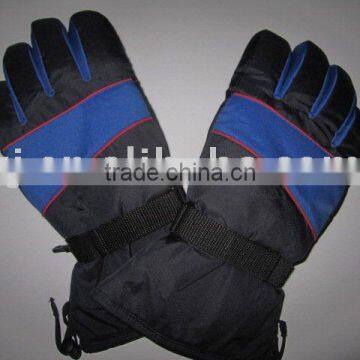 Ski Gloves