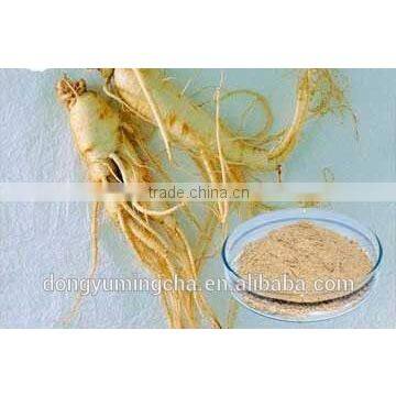 Ginseng Extract