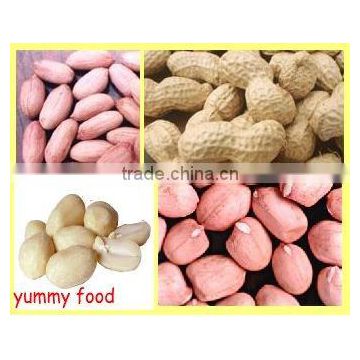 High quality blanched peanut kernel in bulk in China, professional supplier