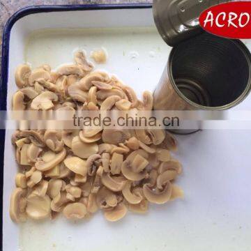 Chinese High Quality Canned Mushroom pieces and stems