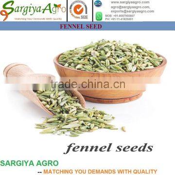 Fresh l Natural l Indian Fennel Seeds