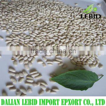 2016 Crop white kidney beans baishake type