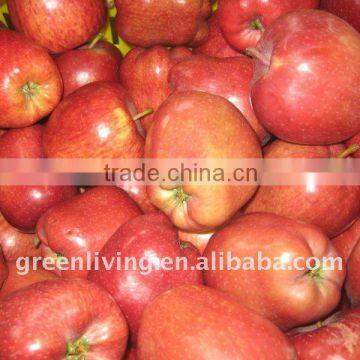 Chinese fresh hua niu apples