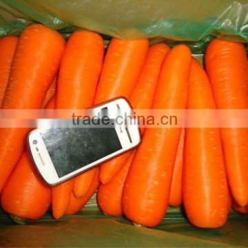 July 2014--new carrot price