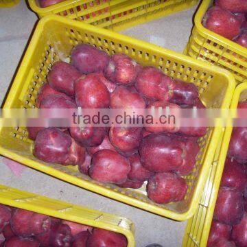 HUA NIU APPLE