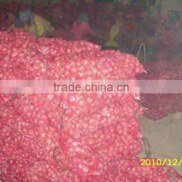 fresh red/ywllow onion