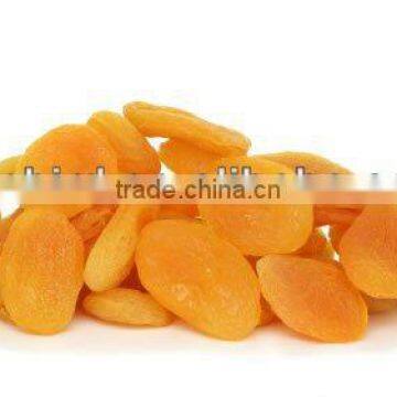2013 dried apricots with best selling and top quality