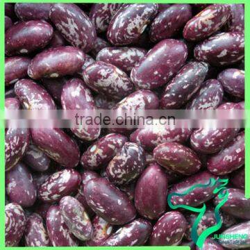 100% Natural Purple Speckled Beans