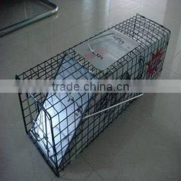 Collapsible Human Animal Trap cage