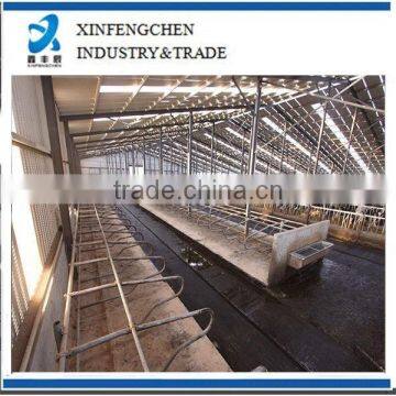 Hot dipped galvanized dairy cow farm equipment