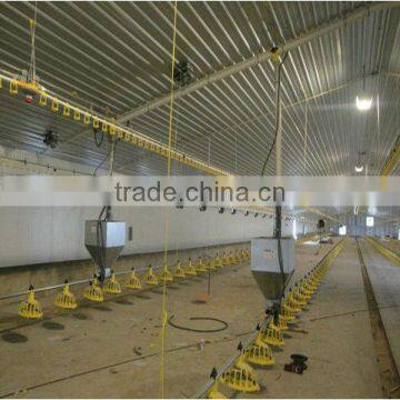 steel structure poultry house
