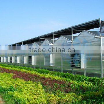 Large Roof Span PC Sheet Greenhouse