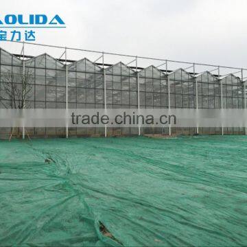 BLD Large Multi-span Plastic Film Greenhouse and Galvanized Steel Frame Greenhouse Kit photo-5