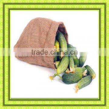 Jute Gunny Bag Jute Bag Best Price photo-4
