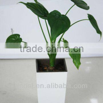 small decorative flower pots,decoration pot,desktop flower pot