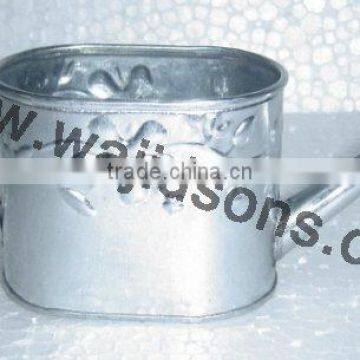 Modern Watering Canes, Stylish Watering Canes photo-4