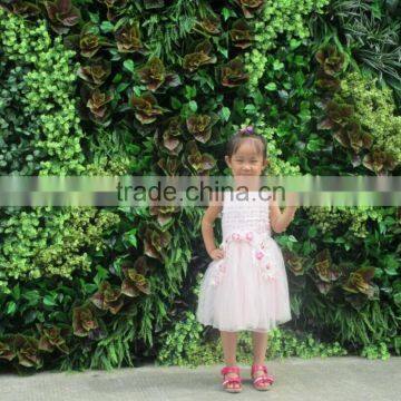 2016 New Line Green Wall for Fashion Show Plants Green Wall