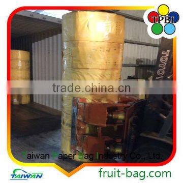 TPBI Fruit Growing Paper Bag Pear Paper Bag Paper Wax Fruit Protective Bags Mango photo-4
