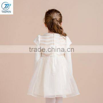 2017 Spring Kid Girls Party Frock Girls Long Sleeve Dress Sweet Stylish Fluffy Dress With Two Layers Mesh photo-4