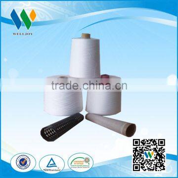 Welljoy Brand 100% Spun Polyester Yarn Best Quality Best Price photo-3